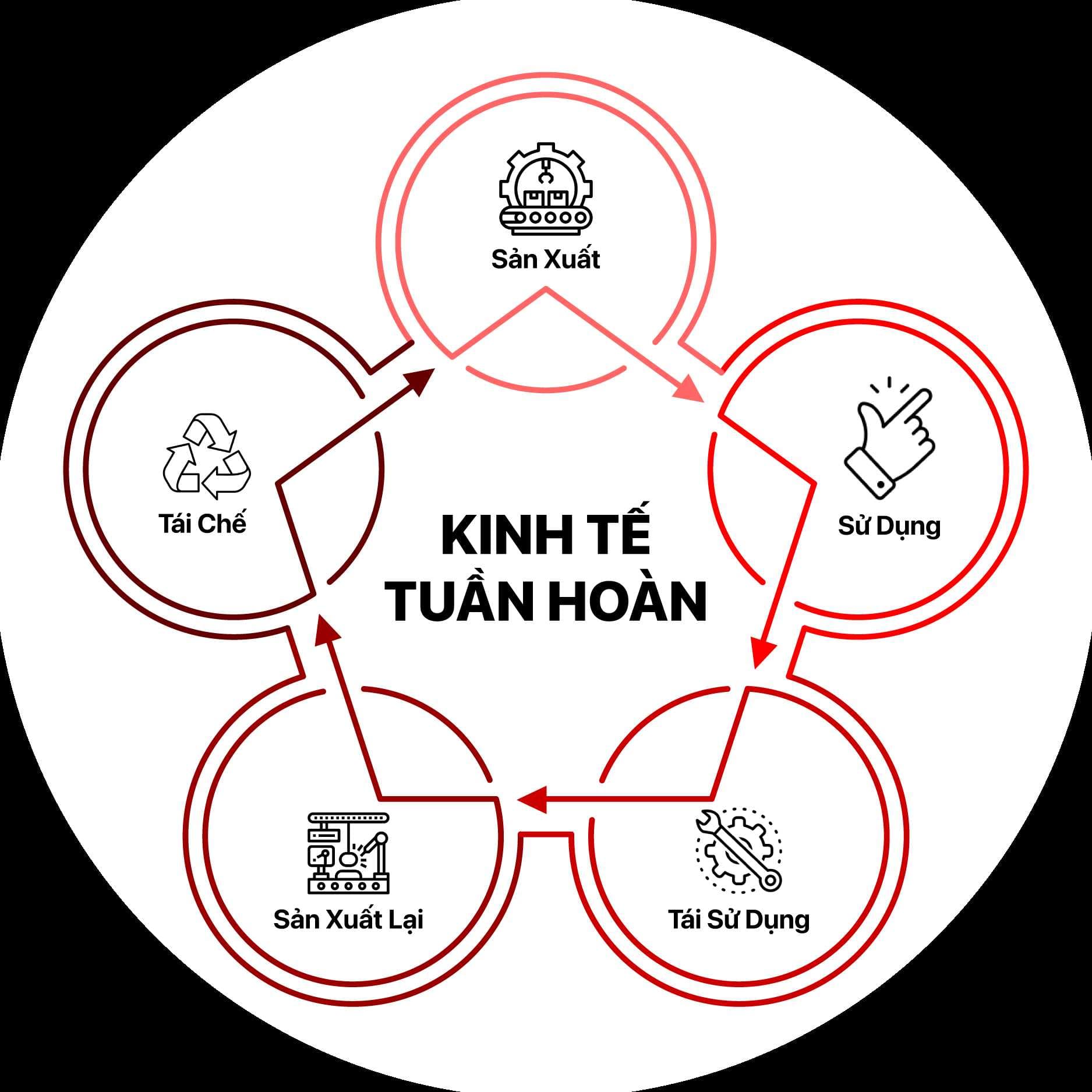 Logistics trong kinh tế tuần hoàn